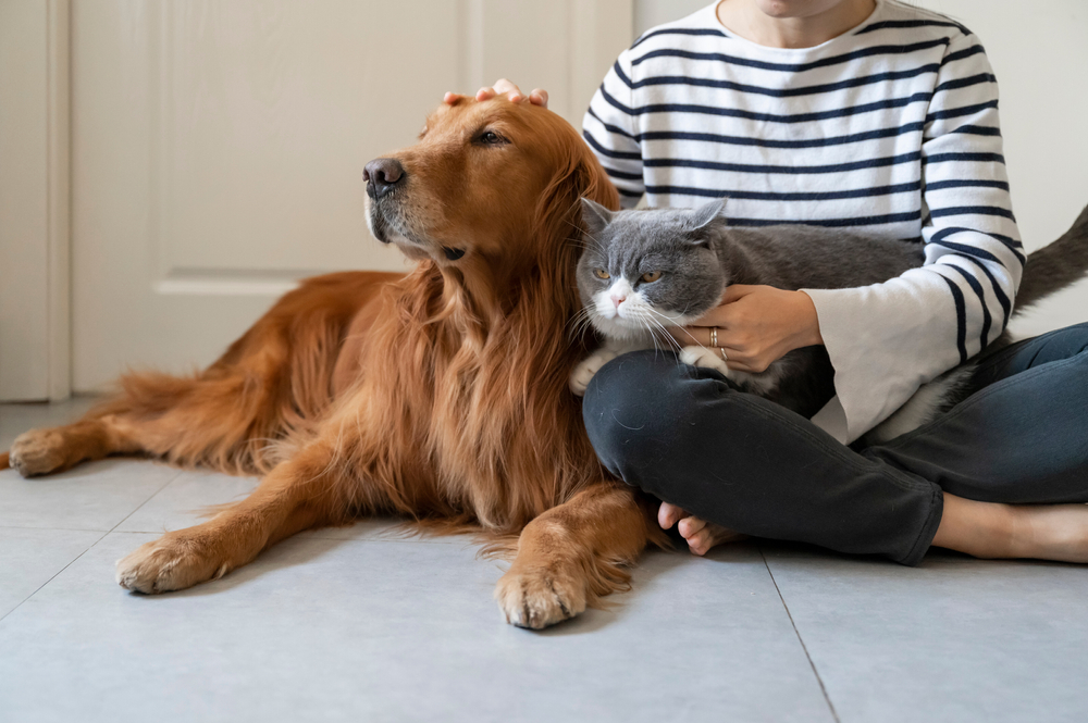 Can pets cause life-threatening infections? A new ICU study says yes