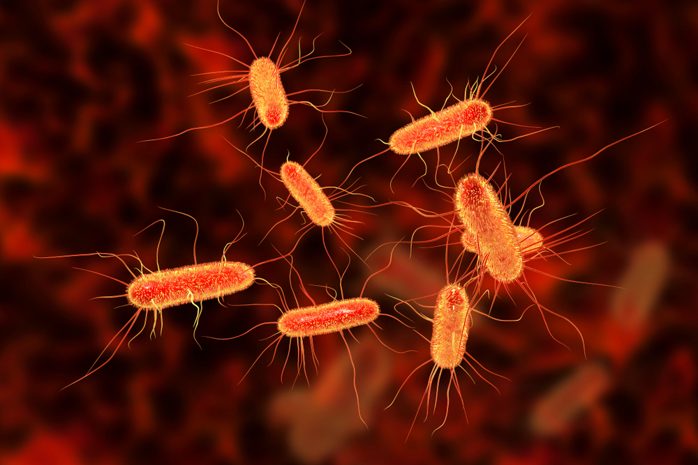 Sexually transmitted enteric infections in men who have sex with men: evolving challenges at the intersection of sexual and foodborne disease